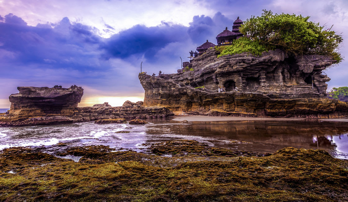 12 Best Tourist Attractions In Indonesia You Have To See - Rainforest