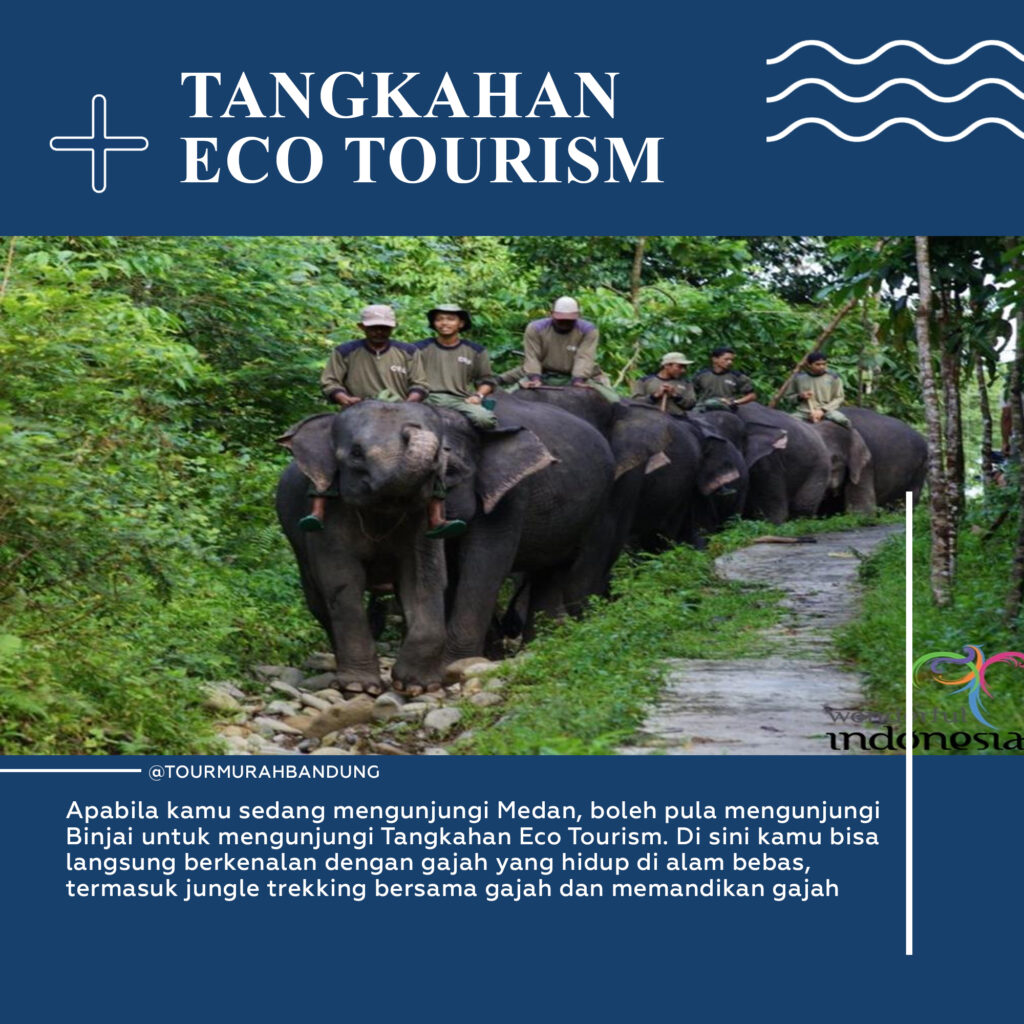 eco tourism indonesia Indonesian world class ecotourism