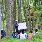 web eco tourism in indonesia Perhentian malesia ecotourism kuala pulau asia vagabondo stunning tropical besut viktar perhentians sia ava360 bookaway matadornetwork