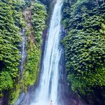 travel in bali indonesia The flight deal