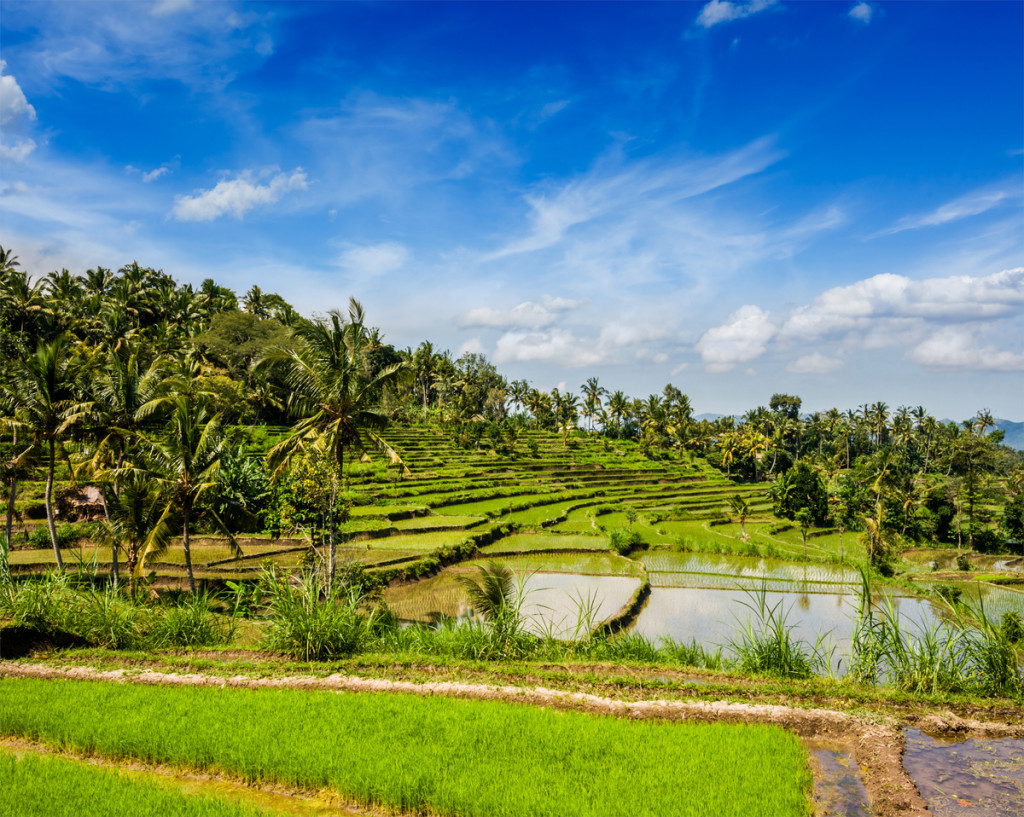 indonesia tourism board bali Bali indonesia cunard