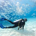 diving tourism indonesia Seven lesser-known dive areas in indonesia