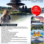 bali indonesia package trip Bali island turtle honeymoon romantic indonesia tour package tours