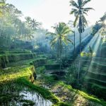 is indonesia a good place to visit 18 top-rated tourist attractions in indonesia