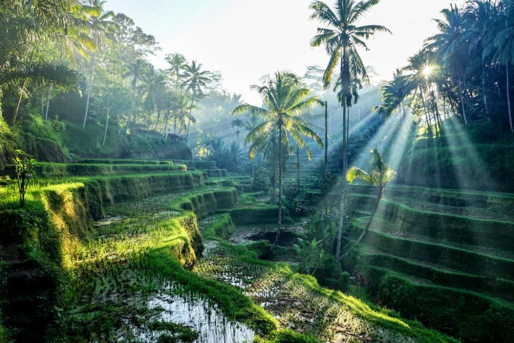 is indonesia a good place to visit 18 top-rated tourist attractions in indonesia