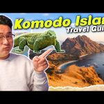 komodo island bali travel guide 1 day private komodo day trip from bali – nusa penida islands, komodo