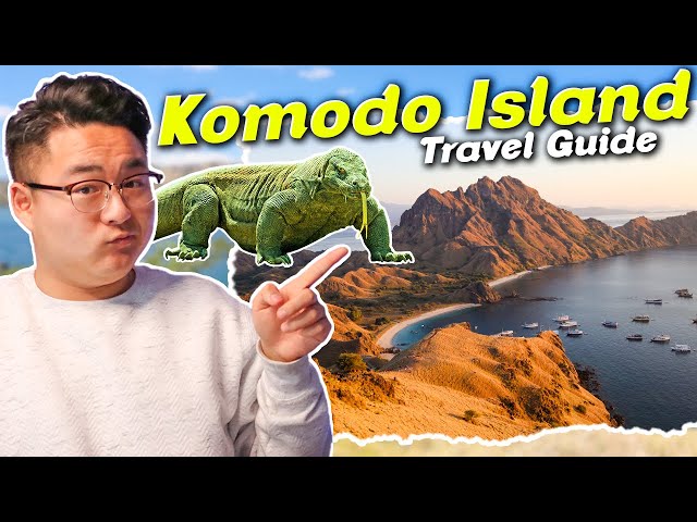 komodo island bali travel guide 1 day private komodo day trip from bali – nusa penida islands, komodo