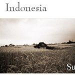 article about indonesia tourism Indonesia travel guide