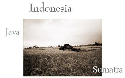 article about indonesia tourism Indonesia travel guide