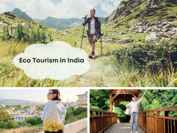 eco tourism in india project Tourism eco india ecotourism karnataka ppt powerpoint presentation